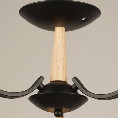 Потолочная люстра 04512-0.3-03