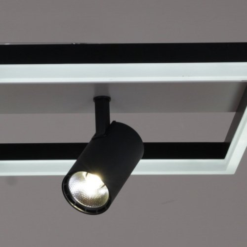 Потолочная люстра 02457-0.3-02