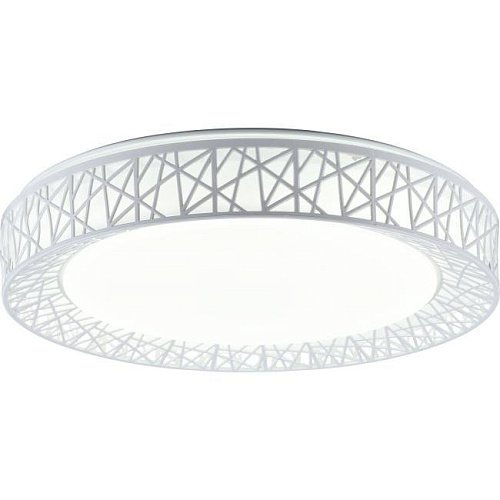 Потолочная светодиодная люстра Diana Toplight TL1204X-72WH