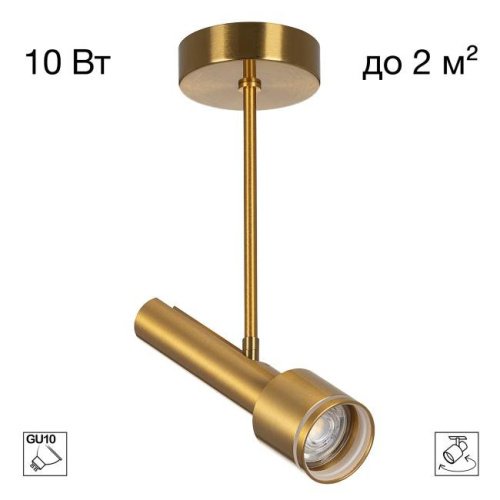 Потолочный спот на штанге VEKTOR Citilux CL51322_BF