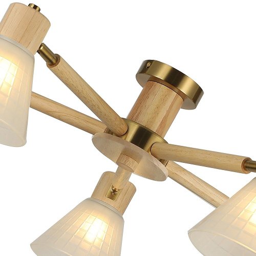Потолочная люстра Arte Lamp A4096PL-5BR