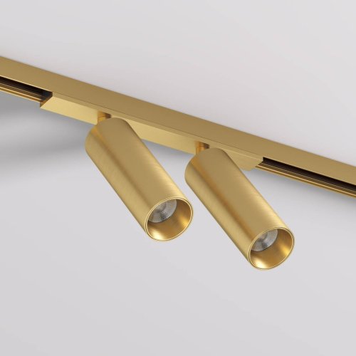 Трековый светильник Denkirs SHINE SPOT DK5742-SB