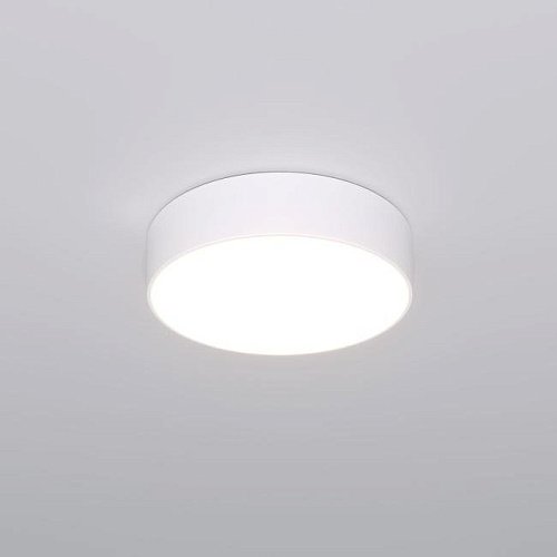 Светильник потолочный Eurosvet Entire 90318/1 белый