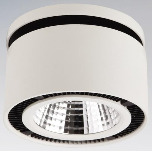 Накладной светильник Lightstar Forte Inca 214800