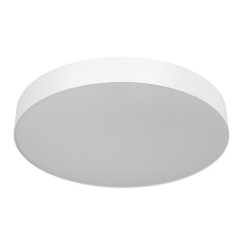 Светильник потолочный Citilux Bart CL755490