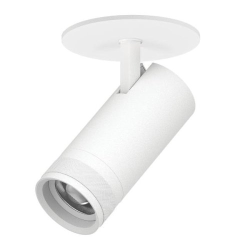 Встраиваемый светильник Lightstar Canno Pro C4206RS