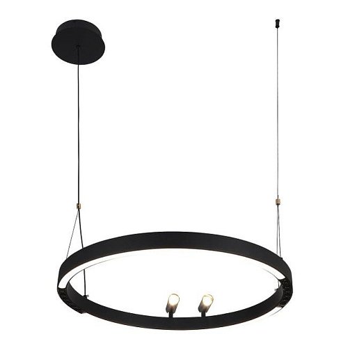 4474-1P Подвесная люстра F-Promo Slinga 4474-1P