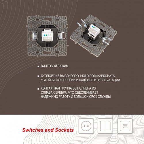 Розетка Arte Milano Am-217 217.51-1.shampan