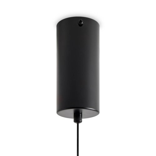 FR5633PL-L6B Подвесной светильник Cowl Freya FR5633PL-L6B