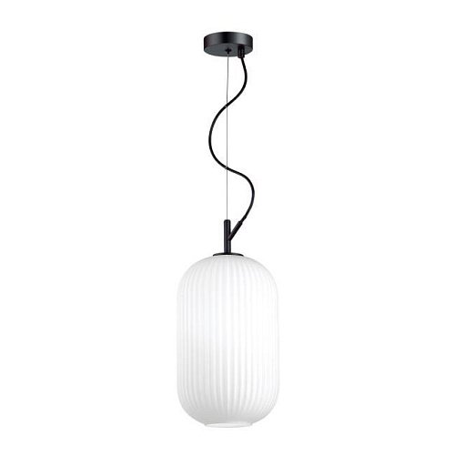 Светильник подвесной Odeon Light Roofi 4751/1
