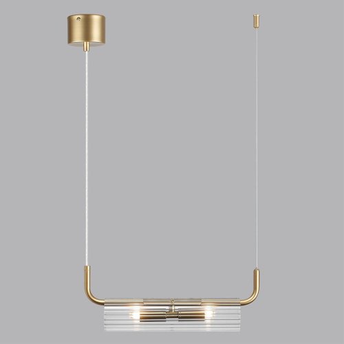 Светильник подвесной Lumion Toronto 6560/2