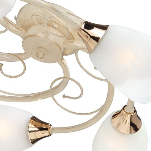 Потолочная люстра Vitaluce 3663 V3663/5PL