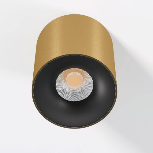 Накладной светильник Elektrostandard Primo 25116/LED 12W 4000K латунь