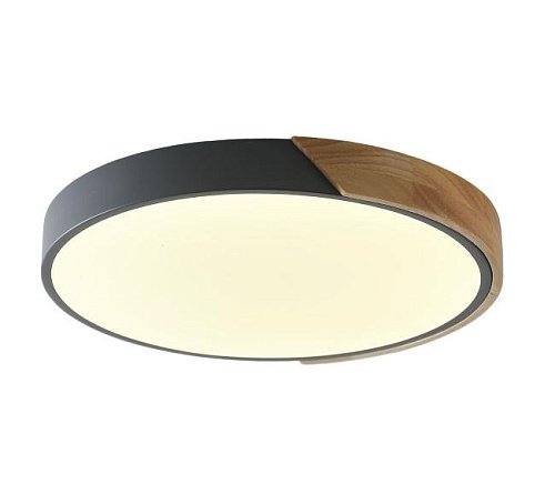ZRS.01280.24 Светильник потолочный Zortes Alberro ZRS.01280.24