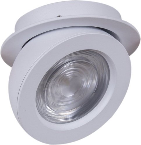 Спот 84053-9.0-001QR COB10W WT