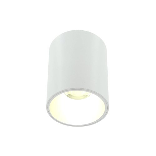 LE200CL-1W Накладной светильник LIGHTERA Shamrock LE200CL-1W