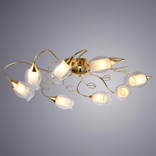 A9289PL-8GO Потолочная люстра Arte Lamp Mughetto A9289PL-8GO