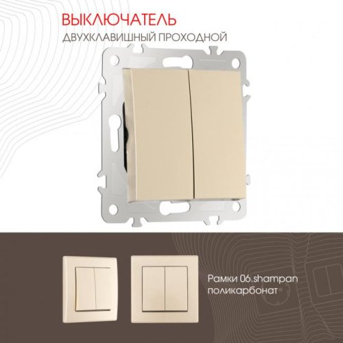 Выключатель Arte Milano Am-206 206.32-2.shampan