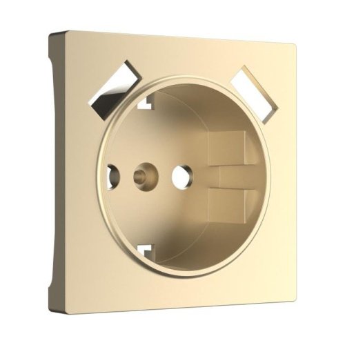 W1179511/ Накладка для розетки USB (шампань) Накладка на механизм Werkel W1179511/ Накладка для розетки USB (шампань)