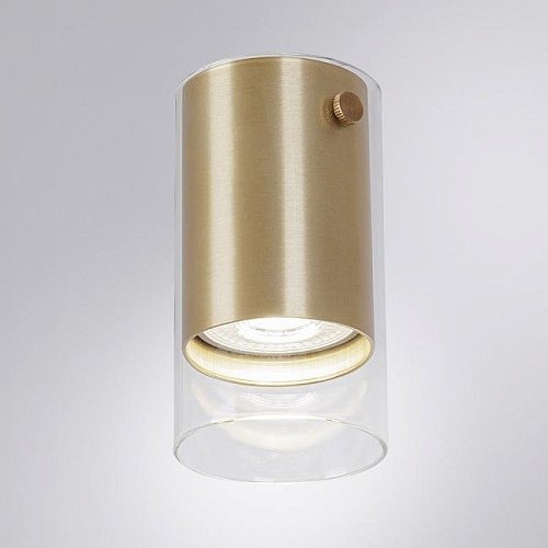 A5365PL-1SG Накладной светильник Arte Lamp Lazio A5365PL-1SG