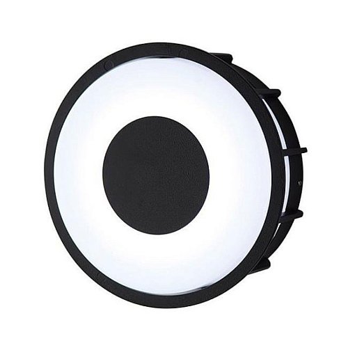 Настенно потолочный светильник L'Arte Luce TELMA L78056.31