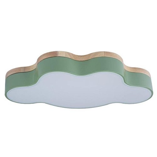 10005/30 Green Светильник потолочный Loft It Axel 10005/30 Green