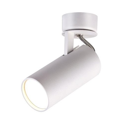 Светильник спот Odeon Light Corse 3873/1C