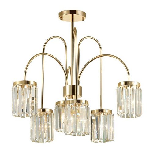 Потолочная люстра Odeon Light Vassa 4987/6C