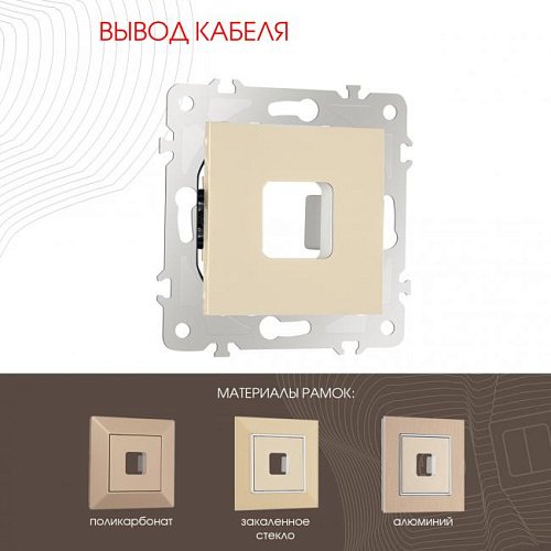 203.49-1.shampan Накладка на механизм Arte Milano Am-203 203.49-1.shampan