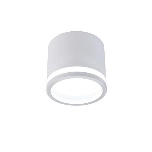 Накладной светильник Favourite Festum 4213-1C