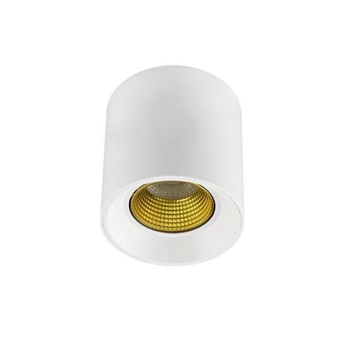 DK3090-WH+YE Накладной светильник Denkirs Dk3020Wye DK3090-WH+YE