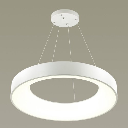 Подвесная люстра Odeon Light Sole 4066/50L