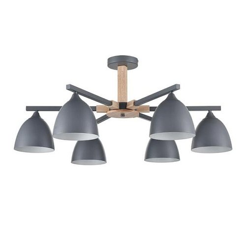 8096/6C Потолочная люстра Lumion Colange 8096/6C