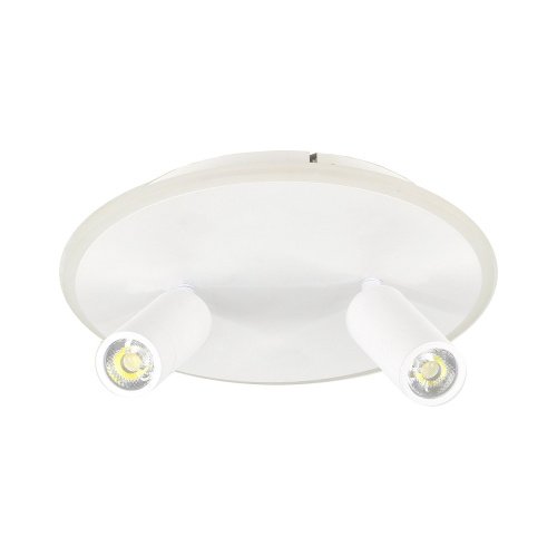 Светильник спот Escada 20046Led 20046SMA/02LED WH