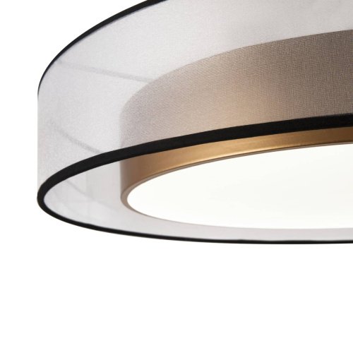 FR6005CL-L48G Светильник потолочный Freya Zoticus FR6005CL-L48G