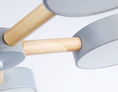 FL4826 Потолочная люстра Ambrella LineTech FL4826