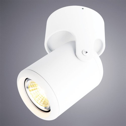 A3316PL-1WH Накладной светильник Arte Lamp Libra A3316PL-1WH