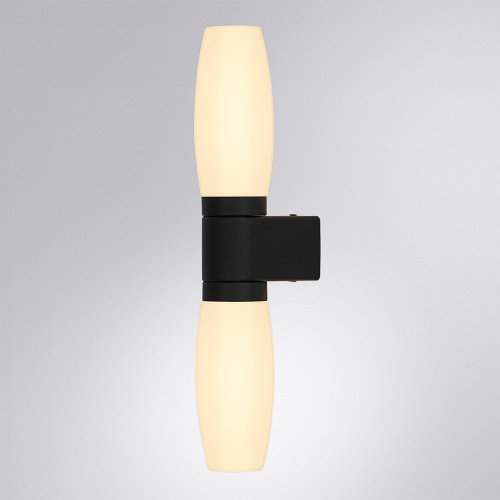 Настенный светильник Arte Lamp Aqua-Bastone A1209AP-2BK
