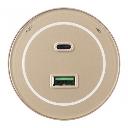 Трековая розетка Arte Milano Am-track-sockets-39 399732TS/USB-Type-C Gold