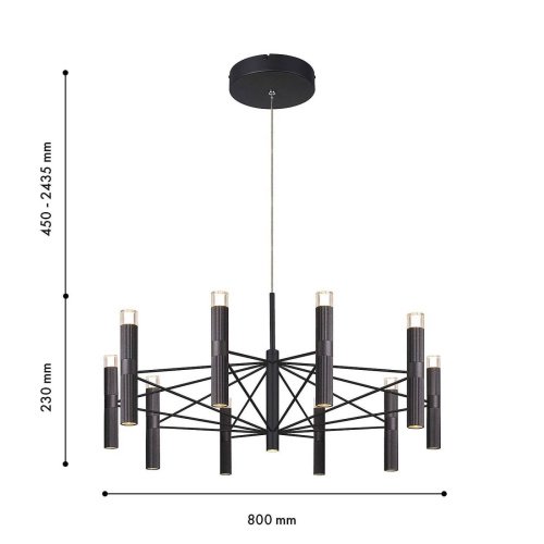 Подвесная люстра Favourite Blick 4758-10P