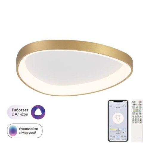 Потолочный светильник GENKA SMART Citilux CL756A142