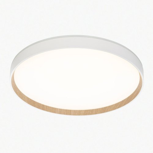 Светильник потолочный Citilux Etalon CL750400R