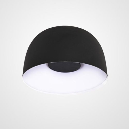 Светильник потолочный ImperiumLoft Brim01 101381-26