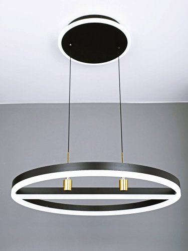 Подвесная люстра Natali Kovaltseva High-Tech Led Lamps HIGH-TECH LED LAMPS 82048