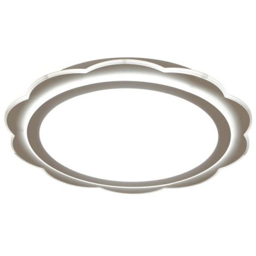 0894 Потолочный LED светильник Adilux 0894 0894