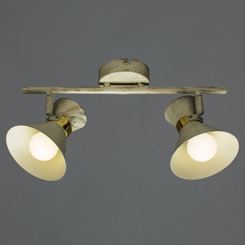 A1406AP-2WG Светильник спот Arte Lamp A1406AP-2WG