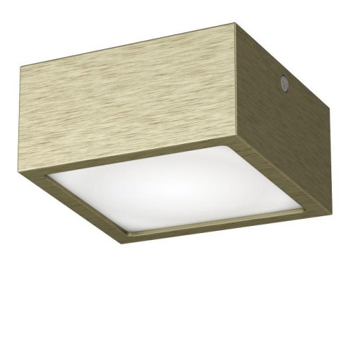 Накладной светильник Lightstar Zolla 213921