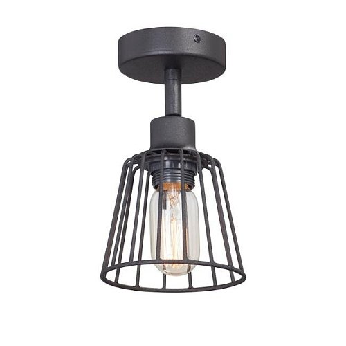 Светильник потолочный Vitaluce V4589-1/1PL