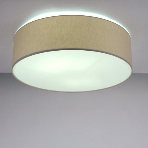 LH022006 Светильник потолочный LightHall Camerona 65 LH022006