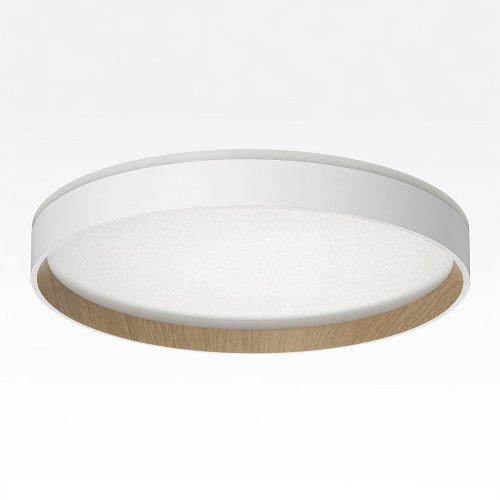 Светильник потолочный Citilux Etalon CL750320R